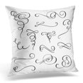thumbnail image 1 of BSDHOME Flourish Swirl Ornate for Pointed Pen Ink Calligraphy Style Quill for Graphic Design Romantic Line Pillow Cover 16x16 Inches Throw Pillow Case Cushion Cover, 1 of 1