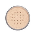 thumbnail image 5 of Poudre libre Professional de COVERGIRL, 5 of 5