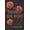 5 ed croswell, variant on The Silence She Wore, (Paperback)