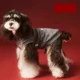 thumbnail image 4 of Ropa Para Perros Otoño E Invierno, 4 of 8