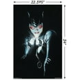 thumbnail image 3 of DC Comics - Catwoman - Portrait Wall Poster, 22.375" x 34", 3 of 6