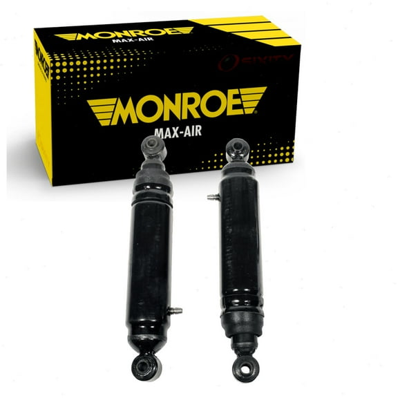 Rear Shock Absorber compatible with Dodge Ram 1500 2002-2010
