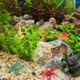 thumbnail image 2 of TOYMYTOY 24pcs Plastic Sea Animal Figure Set Realistic Animal Toys Mini Sea Animal Party Favors for Kids Toddlers (Mix Model), 2 of 4