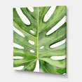 thumbnail image 3 of Designart Green Monstera Leaf Tropical Palm Botanical Detail Canvas Wall Art, 3 of 4