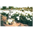thumbnail image 1 of Chrysanthemum Garden-Duvall - CANVAS OR FINE PRINT WALL ART, 1 of 1