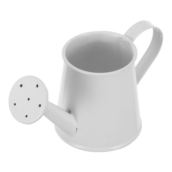 LOLIPPYY Mini Watering Can White Iron Pitcher for Plants, Cute and , 1 Set for Indoor and Outdoor Gardening