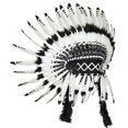 thumbnail image 1 of Cosplay de tocado de plumas artificiales indias COSPLAY AMERICAN para ENCENDIDOS para EVENTOS, 1 of 9