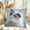 V, variant on DefiDgd Vintage Cute Animals Throw Pillow Covers,Farmhouse Decorative Pillows Covers for Animal Lovers,Sofa Bedroom Living Room Home Decoration(H)