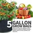thumbnail image 6 of Garnen [5 Gallon] Garden Grow Bags (5 Packs) Vegetable/Flower/Plant Growing Bags Heavy Duty Thickened Nonwoven Fabric Smart Pots Planter with Reinforced Handles, 6 of 8