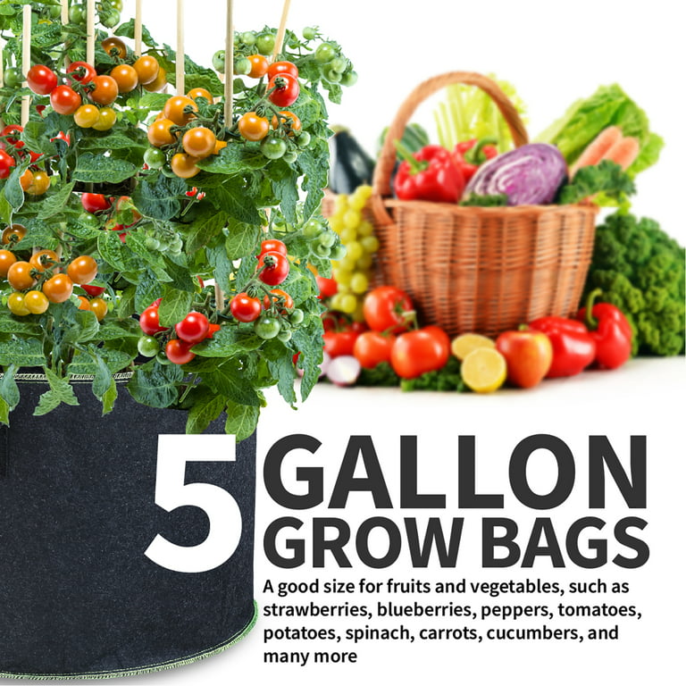 Grow Bags 5 Gallon Hard Good / Case of 400 / NA