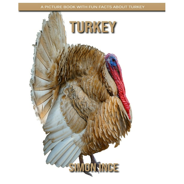 Turkey : A Picture Book with Fun Facts about Turkey (Paperback) -  