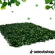 thumbnail image 3 of Muro Verde Follaje Artificial Sintético Pared 60x40cm 50 Pzs, 3 of 6