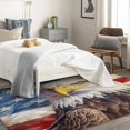 thumbnail image 3 of 2x3 Rug, Bald Eagle Rug & Home Decor - Front Door Mat Indoor Entrance, American Flag Rugs for Entryway, Washable Non Slip Soft Low Pile Small Area Rug, Patriotic Carpet & Room Decorations Y-&224, 3 of 7