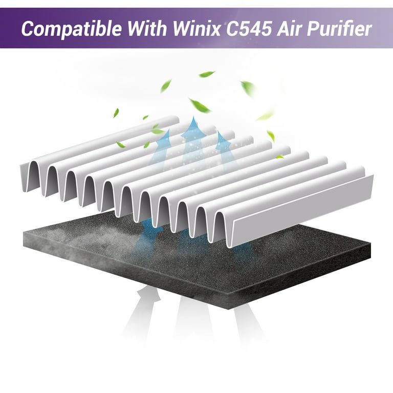 Winix C545 Replacement Filter Set, 2 True HEPA + 8 Activated