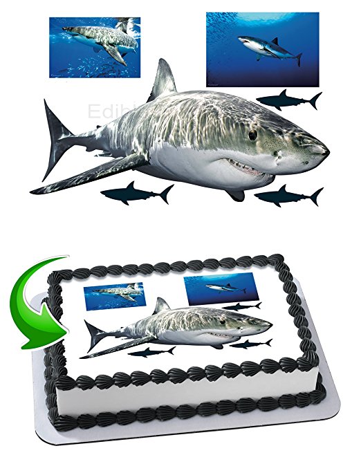 Great White Shark Cake Edible Image Cake Topper Personalized