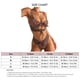 thumbnail image 4 of Conjunto de Bikini con nudo anudado para mujer, traje de baño de 2 piezas con Espalda descubierta, elegante, a la moda, para surfear, Fiesta EN LA Piscina, estampado de leopardo XL, 4 of 4