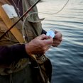 thumbnail image 4 of 5 uds ABS Bola de flotabilidad flotador de pesca indicador de huelga accesorio de aparejos de pesca azul 25mm, 4 of 8
