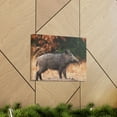 thumbnail image 6 of Majestic Boar Art Majestic Boar Print Animal Wall Art Wildlife Canvas Prints Wall Art Ready to Hang Unframed, 6 of 18