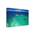 thumbnail image 2 of Trademark Fine Art 'Lanikai Reef' Canvas Art by Cameron Brooks, 2 of 3