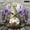 12x12in, variant on Patifu 10 Inch Lavender Gnome Garden Wall Clock Silent Sweep Movement Wooden Decor 10x10in