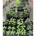 thumbnail image 4 of Cama de jardín elevada ZHAOCHENG de tela bolsas de cultivo de 128 galones 8 rejillas 3x6 pies, 4 of 5