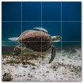 thumbnail image 1 of Picture-Tiles.com: Turtle Ceramic Tile Wall Mural WAL501059-44M. 24"W x 24"H using (16) 6" x 6" Ceramic Tiles-Satin Finish, 1 of 3