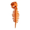 thumbnail image 2 of Dinosaur Skeleton Costume, My Cozy Dino 3D Dinosaur Plush, Huggable Softness Skeleton Costume For Dress-Up, Parties & Photos, Orange, 33in, 2 of 8