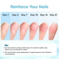 thumbnail image 6 of Gellen 15ml Nail Strengthener, Air Dry Clear Finish Nail Growth Strengthener for Thin Weak and Damaged Nails Repair Solution with Protein Keratin Calcium Nourish Nail Care Treatment, Ocean Scented, 6 of 11