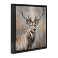 thumbnail image 2 of Stupell Industries Farmhouse Rustic Stag with Majestic Glance Black Floating Frame Canvas Art, 18 x 18, by Susan Arnot, 2 of 8