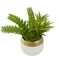 thumbnail image 4 of Northlight Mixed Artificial Succulent Arrangement in Ceramic Pot - 6.5", 4 of 5