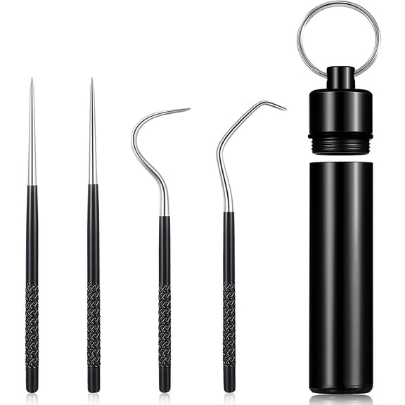 Portable Titanium Toothpicks Pocket Set Reusable Metal Stainless Steel Toothpicks with Holder for Outdoor Picnic and Camping (Black,1 Set)
