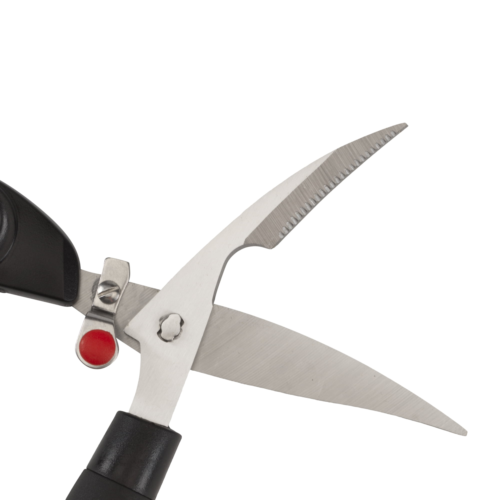Roots & Harvest Poultry Shears
