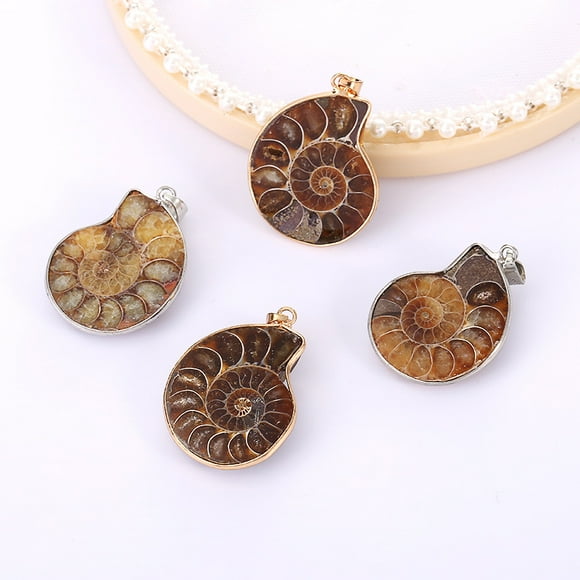 Handmade Charms 6Pcs Natural Ammonite Snail Shell Fossils Stone Pendants for Jewelry Accessories Making