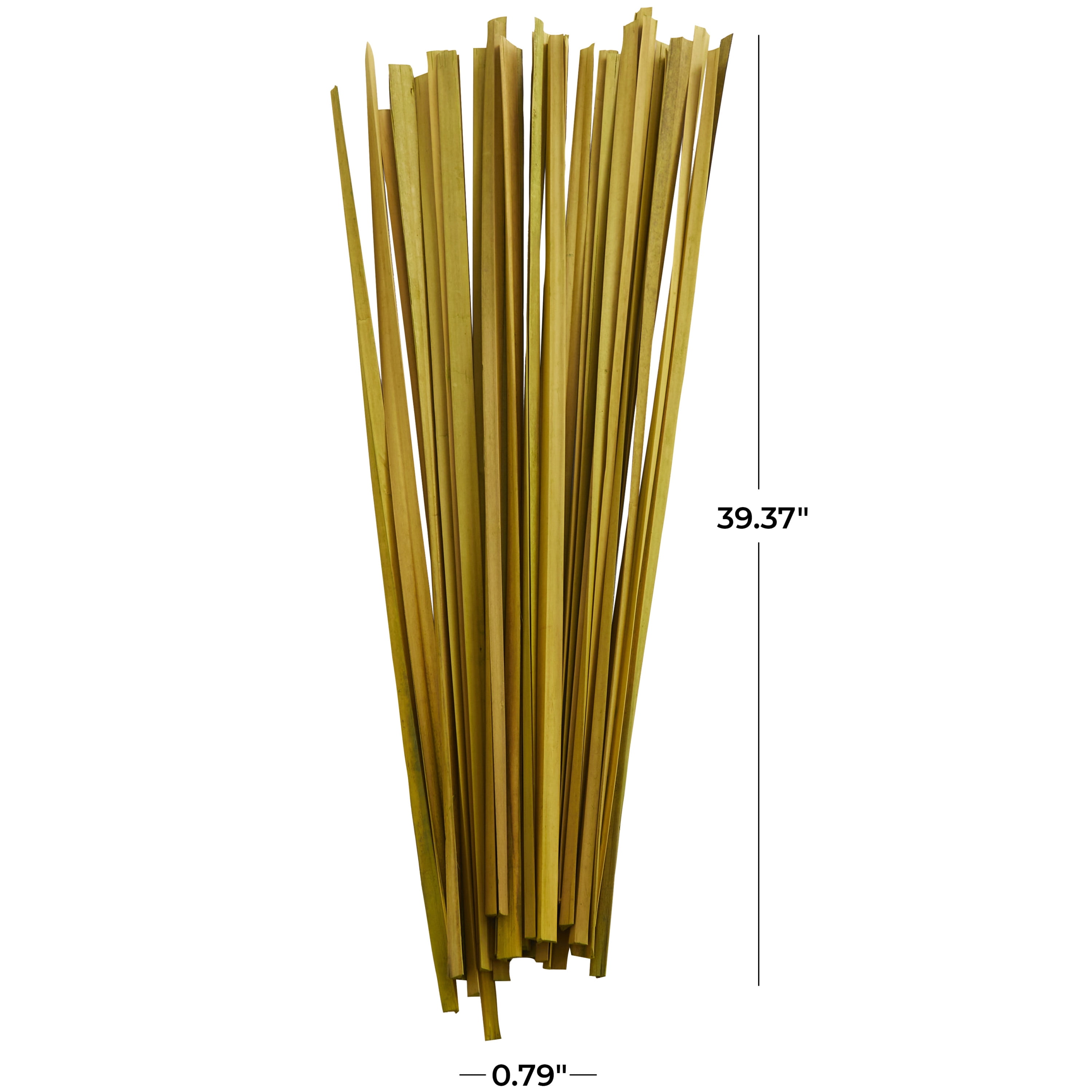 39" Dried Plant Natural Foliage Sticks Bouquet with Slender Stems, by DecMode