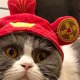 thumbnail image 2 of Cómoda gorra de poliéster para gatos y perros, adorable y portátil, ligera para mascotas, 2 of 5
