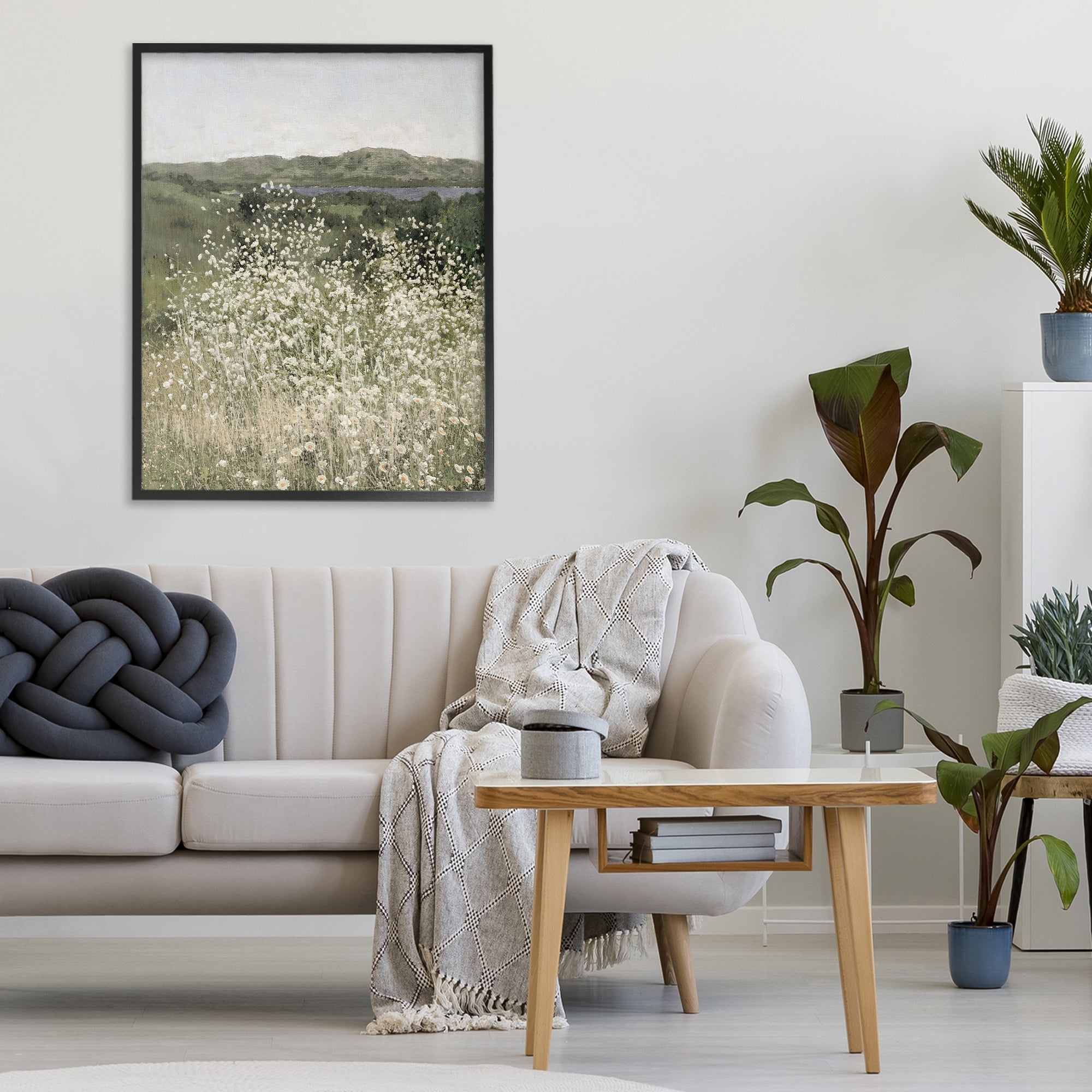 Stupell Industries Sunlit Meadow of White Daisies Black Framed Giclee Art, design by Amber Sterling