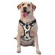 thumbnail image 1 of Balery Rottweiler Arnés para Perros Grandes Antitirones, Arnés con Correa para Gato, Arnés Tipo Chaleco para Perros Pequeños-Small, 1 of 6