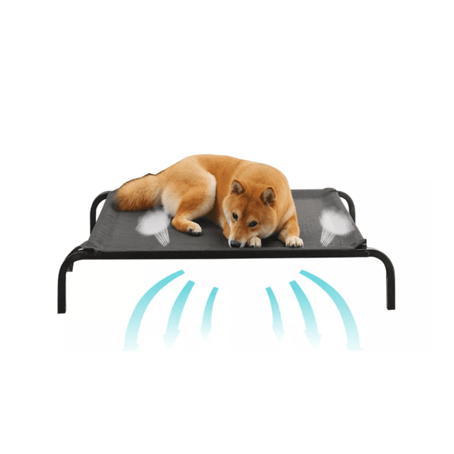 Cama Elevada Para Perro Mediano Mascotas Dehigh 90*60*16cm