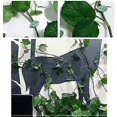 thumbnail image 5 of Set of 70 wall clips for climbing plants - For garden, home, office, 5 of 5