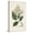 Canvas, variant on Art.com Antique Turpin Botanical V Art Print by 0 Turpin, Brown Frame Wall Art, 21" x 29"