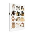 thumbnail image 4 of Hanna Melin 'Guinea Pig in Glasses' Canvas Art, 4 of 4