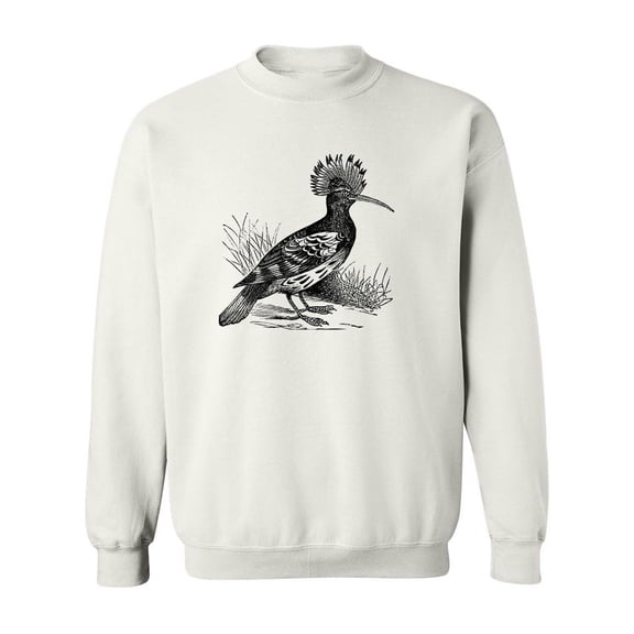 Hoopoe Bird Sketch Sweatshirt Men -Image by Shutterstock, Male 5X-Large