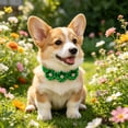 thumbnail image 6 of Dog Bowtie Flower Collar, Adjustable Bow Ties for Dogs Flower with Diamond Grooming Accessories for Puppies Kitten Green, 6 of 6