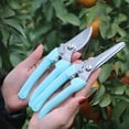 thumbnail image 6 of 2PCS Pruning Shears, Pruning Scissors Gardening Tools, Pruners For Flower, Bushes, Rose And Fruit Tree, Use For Florist, Yard And Orchard the Plant Clippers, Sharp White Steel Anvil Snips(Light Blue), 6 of 8