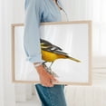 thumbnail image 4 of Baltimore Oriole - Photography Bird Wildlife Animal Nature Woodland Scenic Oak Framed Wall Art Print 5 x 7 inches, 4 of 6