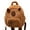 A, variant on Capybara Backpack Dolphin Backpack Kapybara Cute Plush Toy Shoulder Bag -purpose Shoulder Bag Ugly Water Guinea Pig Cute Doll Tote Bag