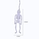 thumbnail image 3 of String Lights Skeleton Lantern Wansheng Light String -8 Pies 20Led Skeleton Wansheng Light Decorative Rare Wansheng Light, Adecuado para Patio de Fiesta en Interiores Y Exteriores, 3 of 9