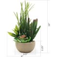 Realistic Small Desktop Artificial Succulent Plant Group in Natural