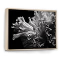 thumbnail image 2 of Designart "Monochrome Anemone In Colorful Photo III" Coastal Coral Under Water Floater Framed Canvas Wall Art, 2 of 5