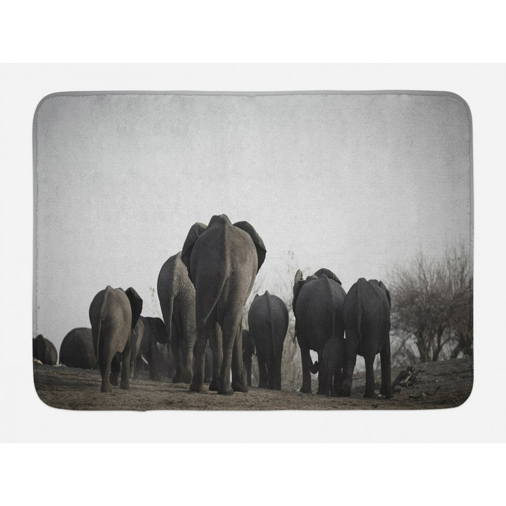 Elephant Bath Mat, Image of Herd of African Elephants Walking the River
